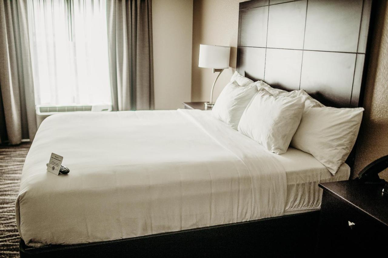 Cobblestone Hotel & Suites International Falls Exteriér fotografie